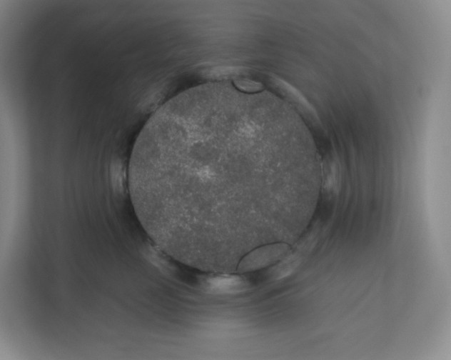 X0000110760669200906291029