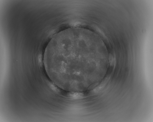 X0000110760670200906291029