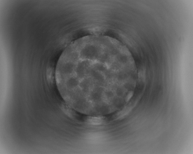 X0000110760671200906291029