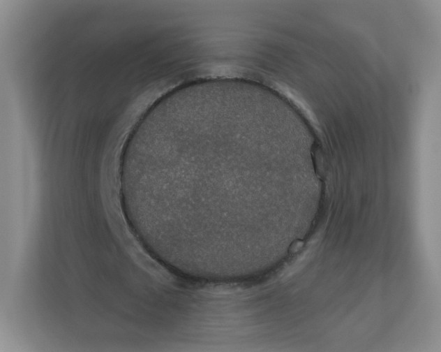 X0000110760673200906291029