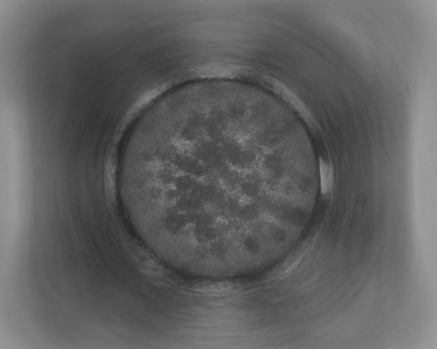X0000110760675200906291028