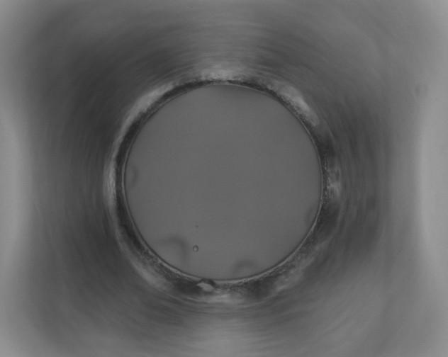 X0000110760678200906291028