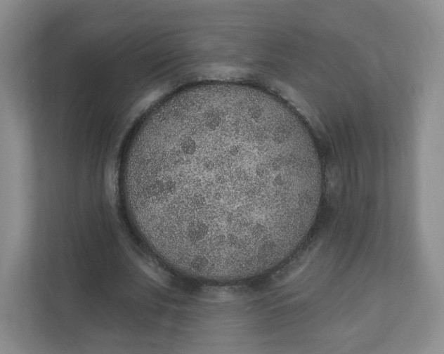 X0000110760679200906291028
