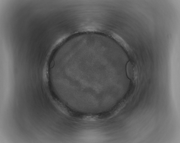 X0000110760680200906291028