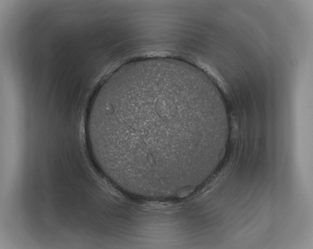 X0000110760681200906291028