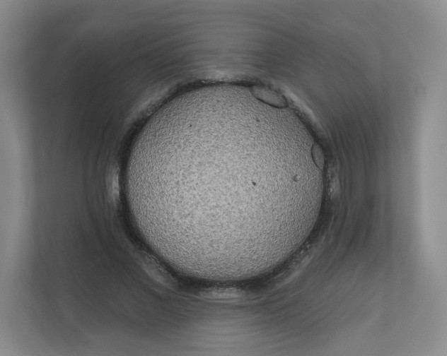 X0000110760685200906291028