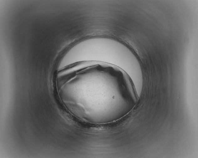 X0000110760688200906291028