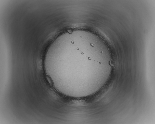 X0000110760689200906291028