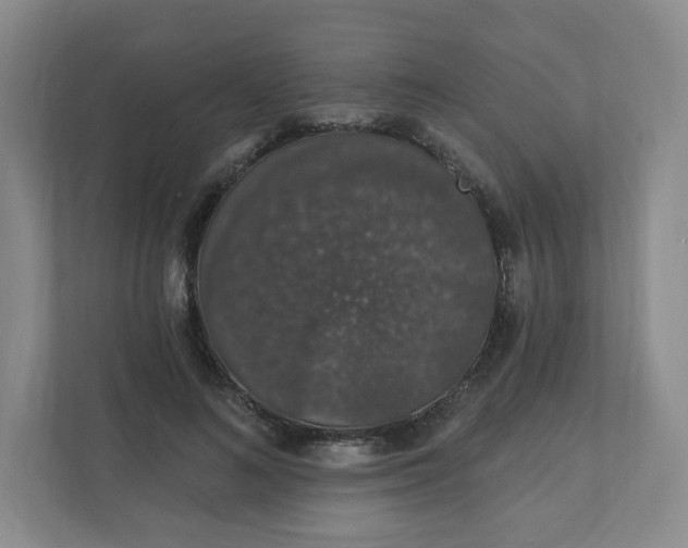 X0000110760692200906291028