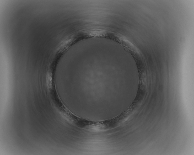 X0000110760696200906291028