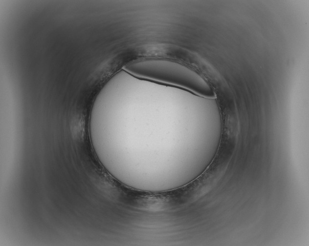 X0000110760697200906291028