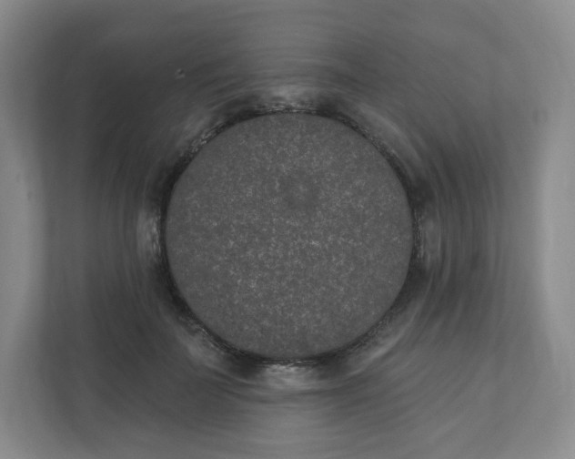 X0000110760699200906291028