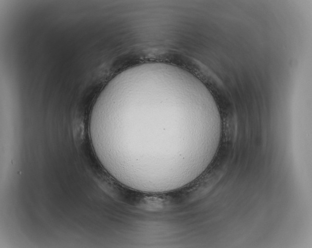 X0000110760703200906291028