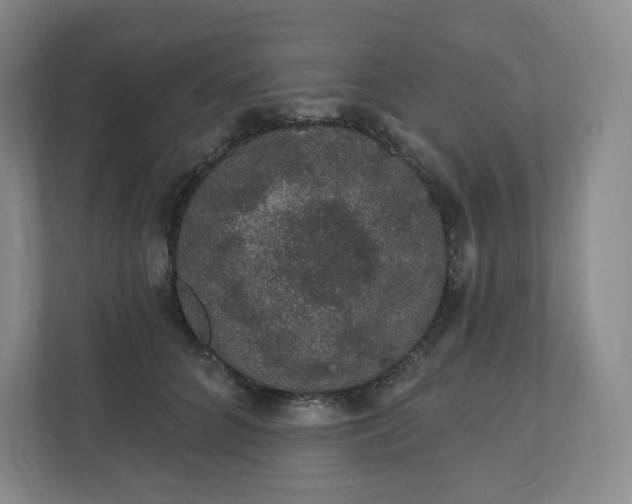 X0000110760704200906291028