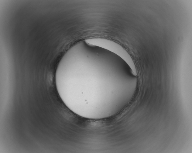 X0000110760709200906291028