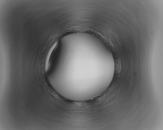 X0000110760713200906291028