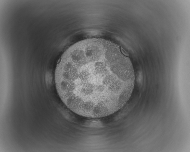 X0000110760715200906291028