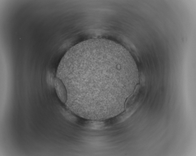 X0000110760719200906291028