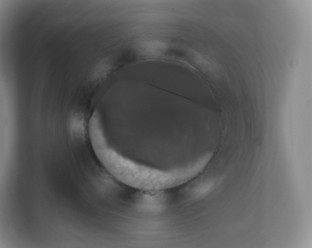 X0000110760720200906291028