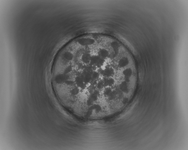 X0000110760721200906291027