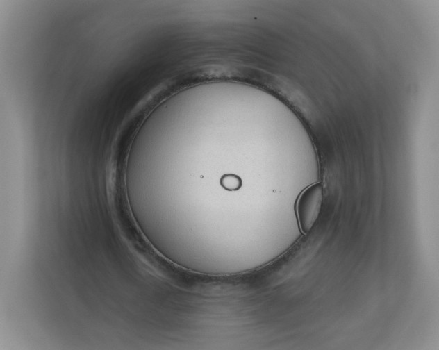 X0000110760722200906291027