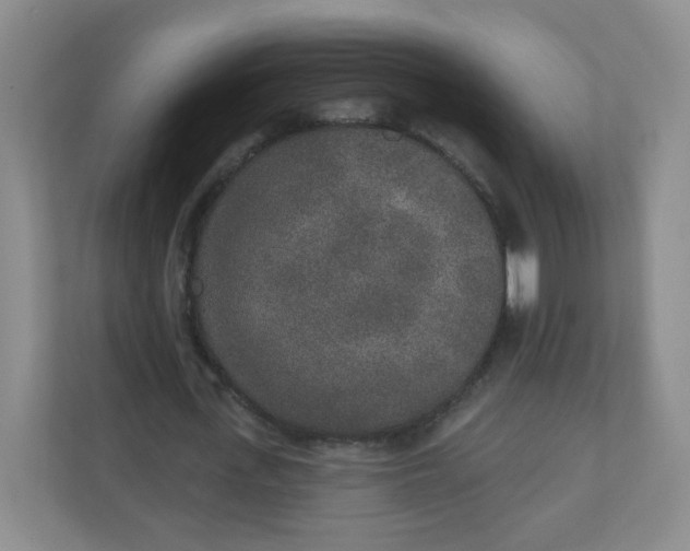 X0000110760723200906291027