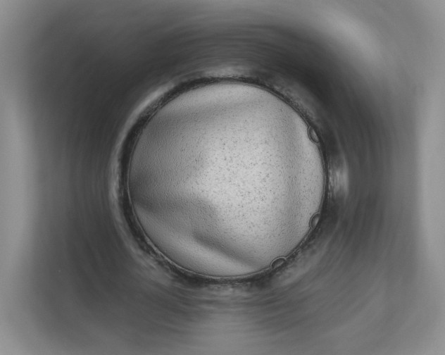 X0000110760724200906291027