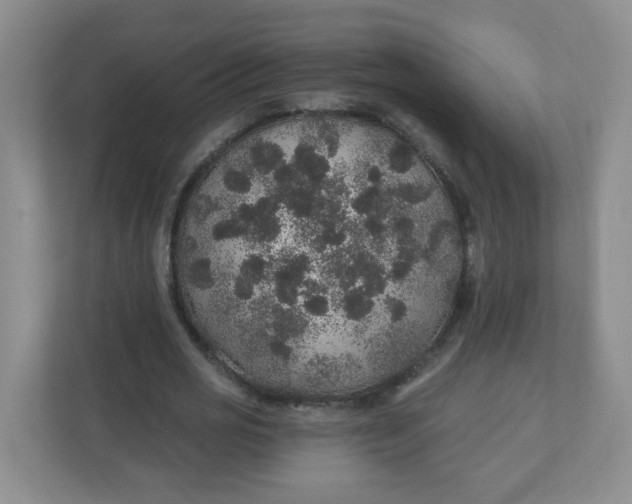 X0000110760725200906291027