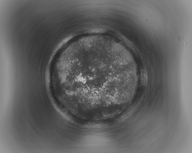 X0000110760726200906291027