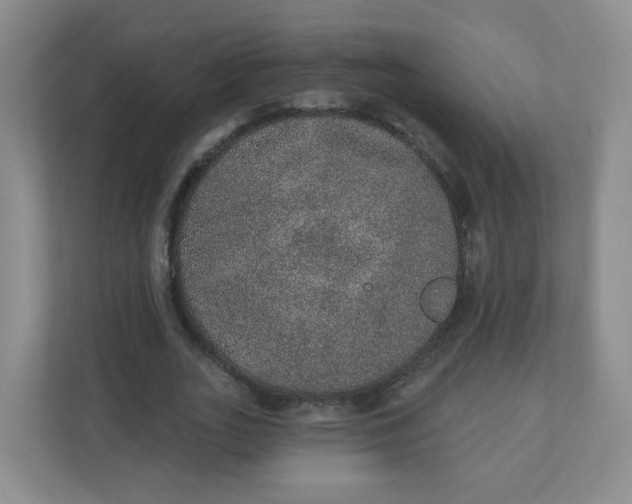 X0000110760727200906291027
