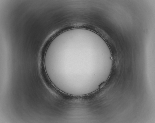 X0000110760728200906291027