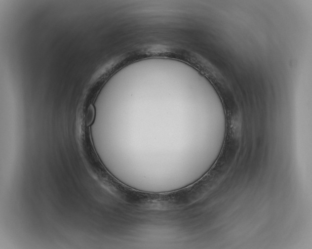 X0000110760732200906291027