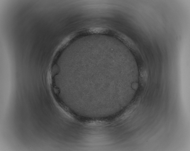 X0000110760734200906291027
