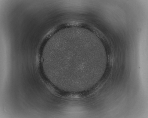 X0000110760735200906291027