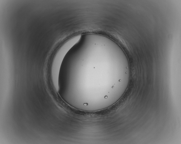 X0000110760736200906291027