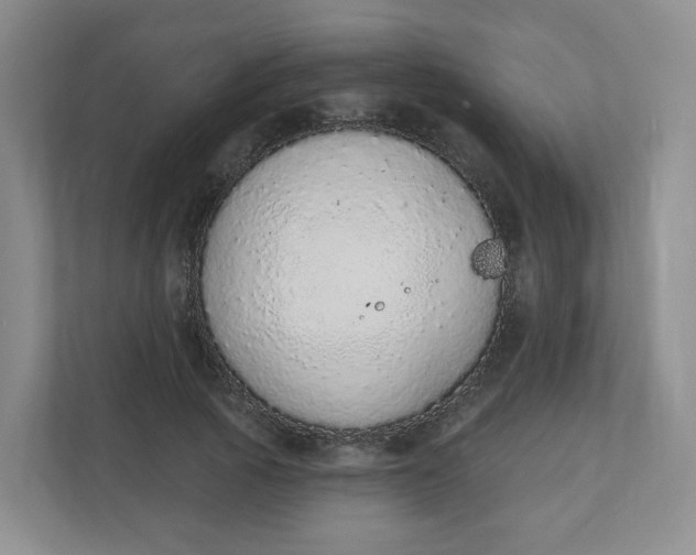 X0000110760737200906291027