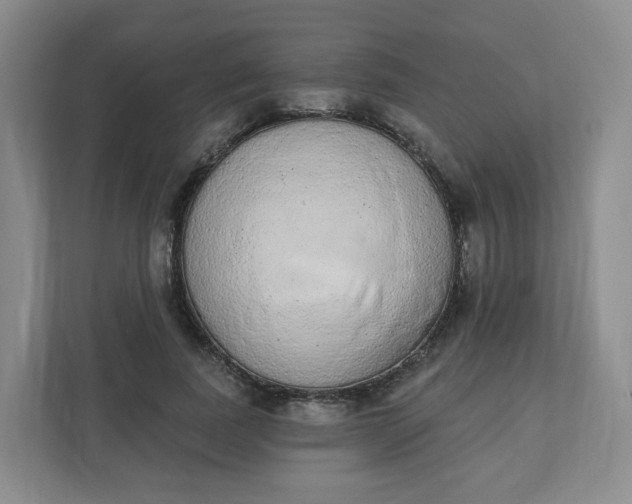 X0000110760739200906291028