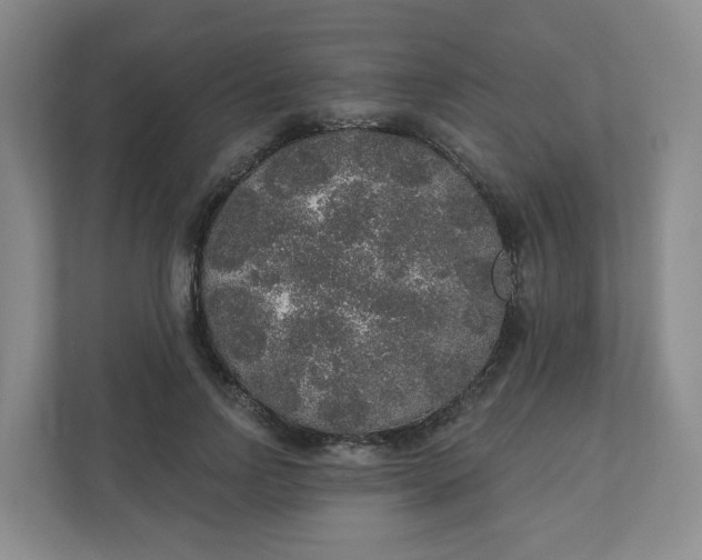 X0000110760742200906291028
