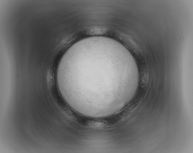 X0000110760743200906291028