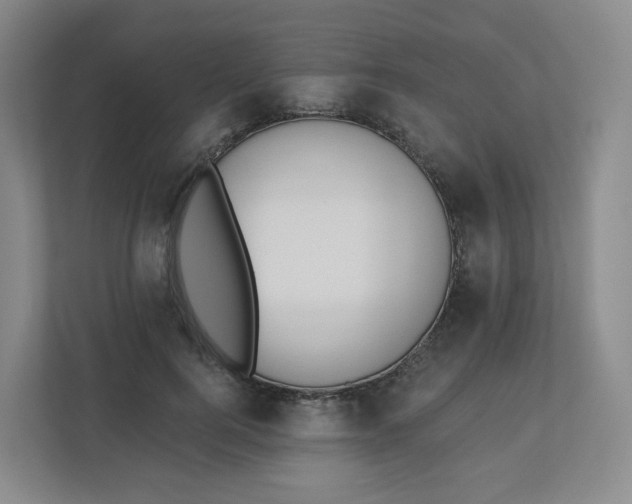X0000110760744200906291028