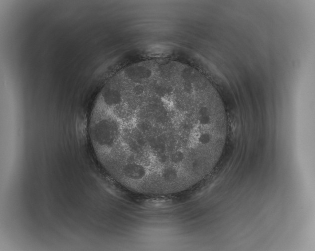 X0000110760745200906291028