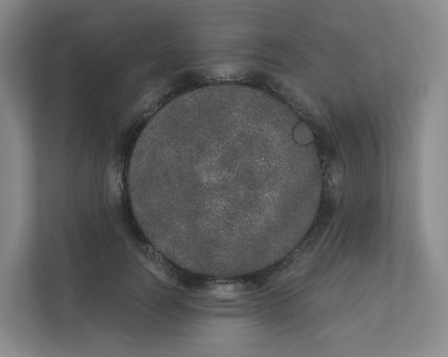 X0000110760746200906291028
