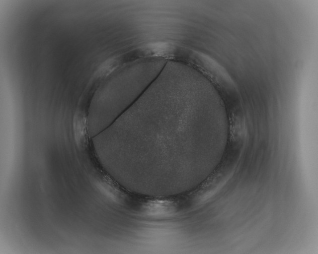X0000110760748200906291028
