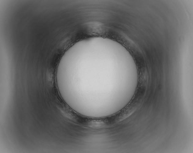 X0000110760749200906291028