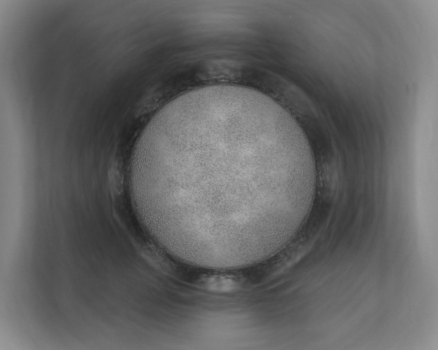 X0000110760751200906291028
