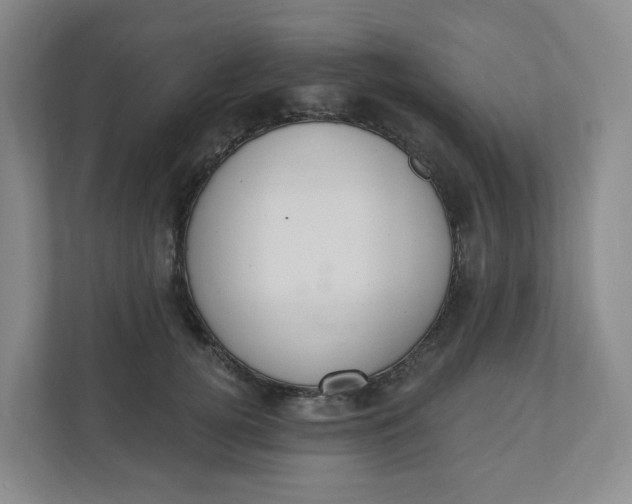 X0000110760752200906291028