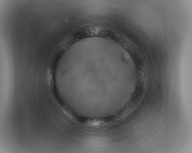 X0000110760754200906291028