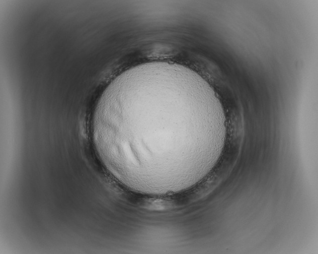 X0000110760755200906291028
