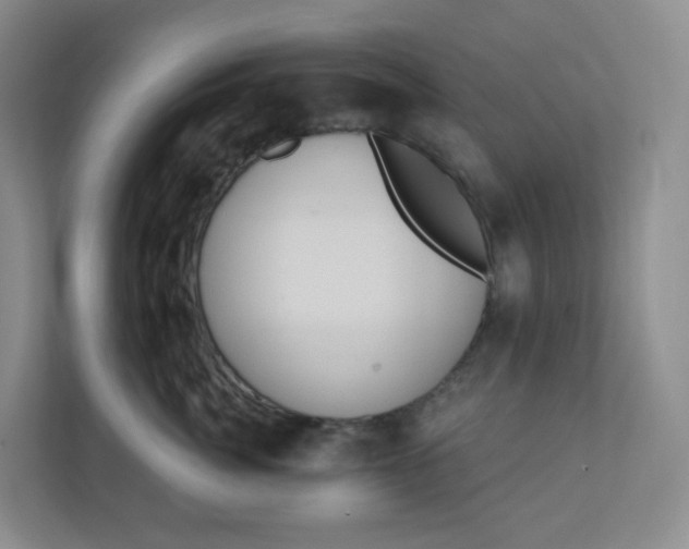 X0000110760764200906291028