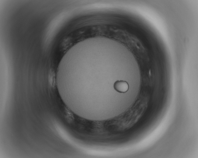 X0000110760766200906291028